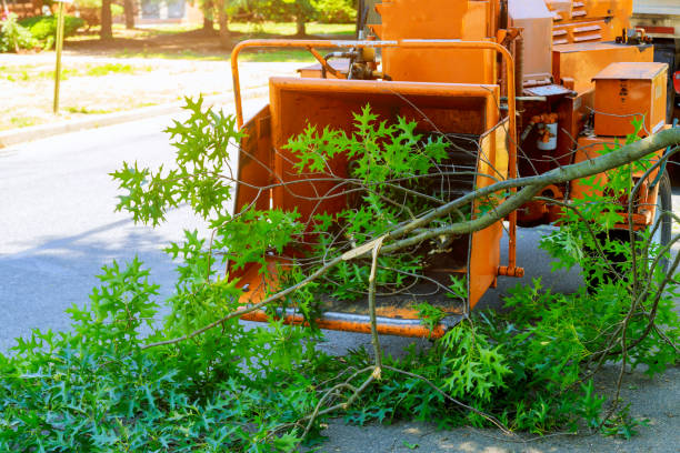 Landscape Design and Installation in Ferndale, WA